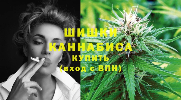 дживик Арсеньев