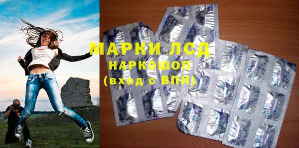 индика Армянск