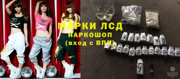 индика Армянск