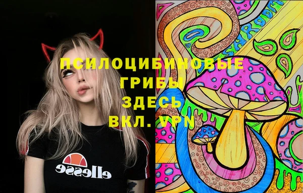 индика Армянск
